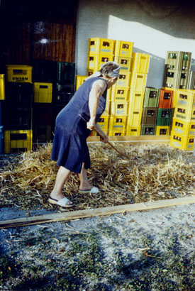 eika image